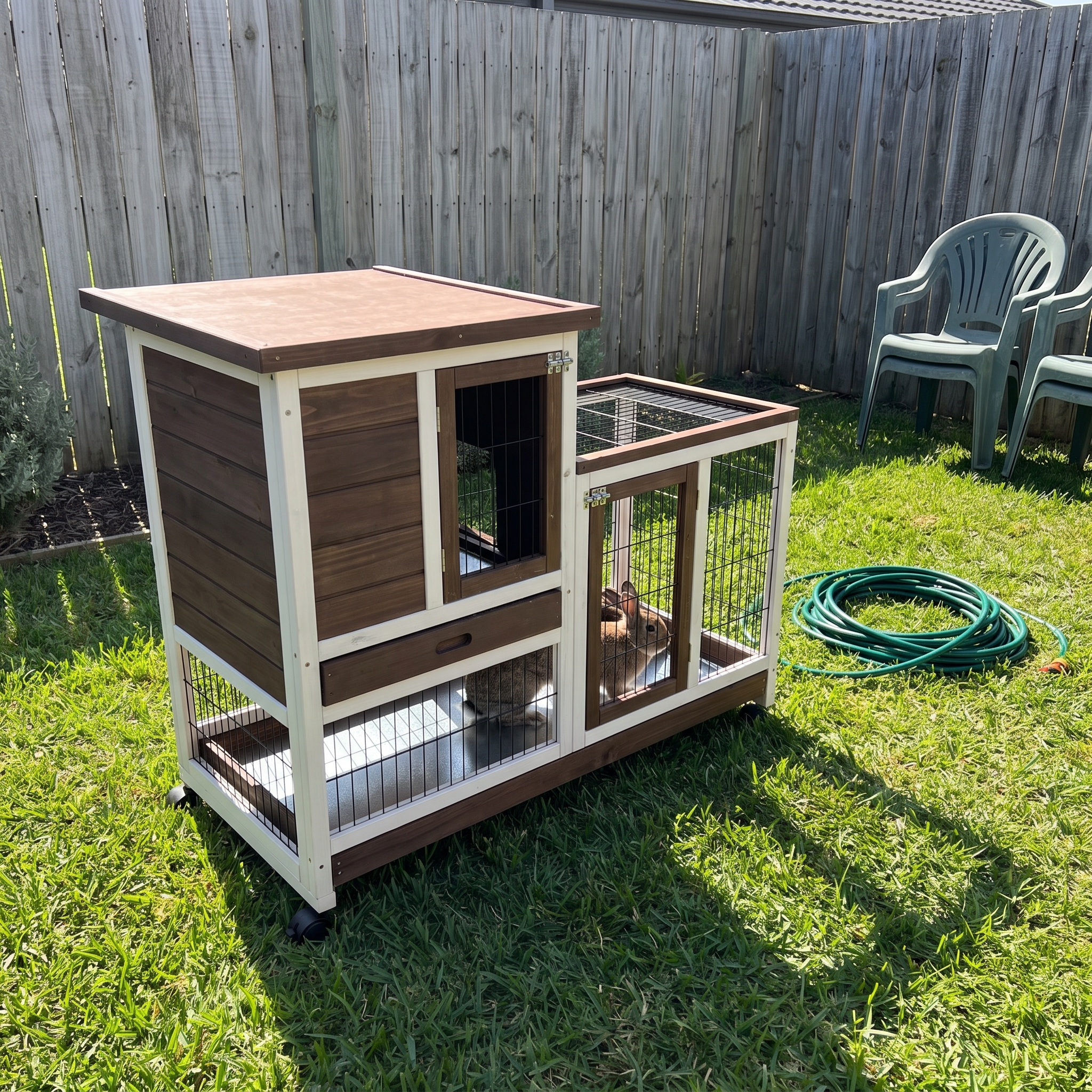 Grey dwarf rabbit in the brown elevated hutch run on a sunny backyard lawn - wrenwood ugc lifestyle v2