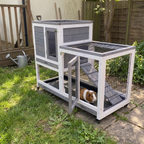 Guinea pig at the ramp of the elevated wooden hutch beside a backyard deck - wrenwood ugc lifestyle v2