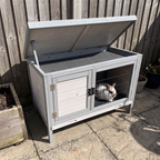 White rabbit sits inside the raised wooden hutch on a patio, lid propped open.