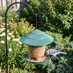 Blue jay at the green-roof metal bird feeder on a garden shepherd's hook - wrenwood ugc lifestyle v2