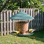 Goldfinches at the green-roof metal bird feeder hanging from a backyard tree - wrenwood ugc lifestyle v2