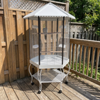 Cockatiel in the portable hexagonal bird aviary on a backyard deck - wrenwood ugc lifestyle v2