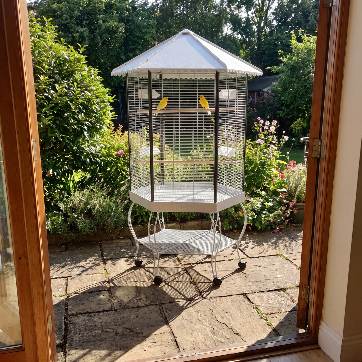 Canaries in the portable hexagonal bird aviary in a garden corner - wrenwood ugc lifestyle v2