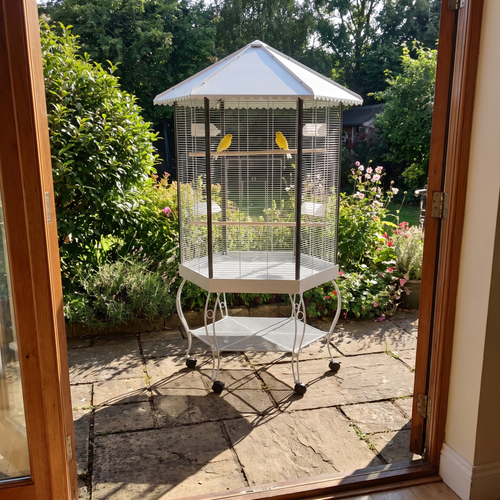 Canaries in the portable hexagonal bird aviary in a garden corner - wrenwood ugc lifestyle v2