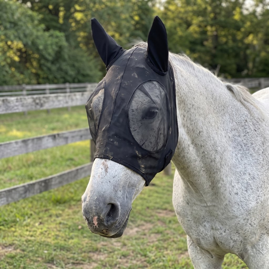 Horse wearing the black mesh fly mask in a paddock - wrenwood hero v2
