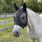 Horse wearing the black mesh fly mask in a paddock - wrenwood hero v2