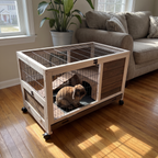 Lop rabbit inside the rolling wooden cage set up in a living room - wrenwood ugc lifestyle v2