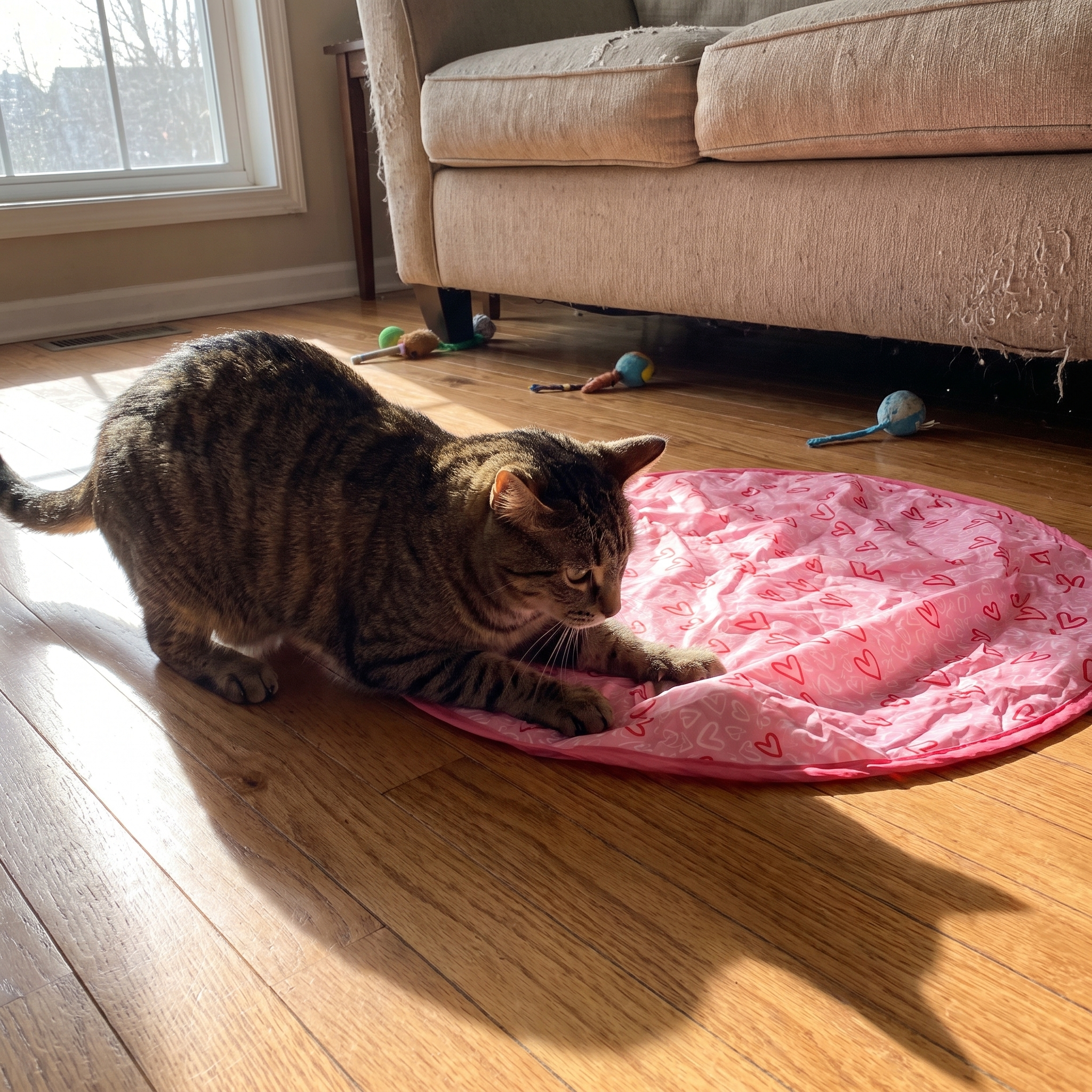 Tabby cat pouncing at the moving bump under the pink play cover on a wood floor - wrenwood ugc lifestyle v2