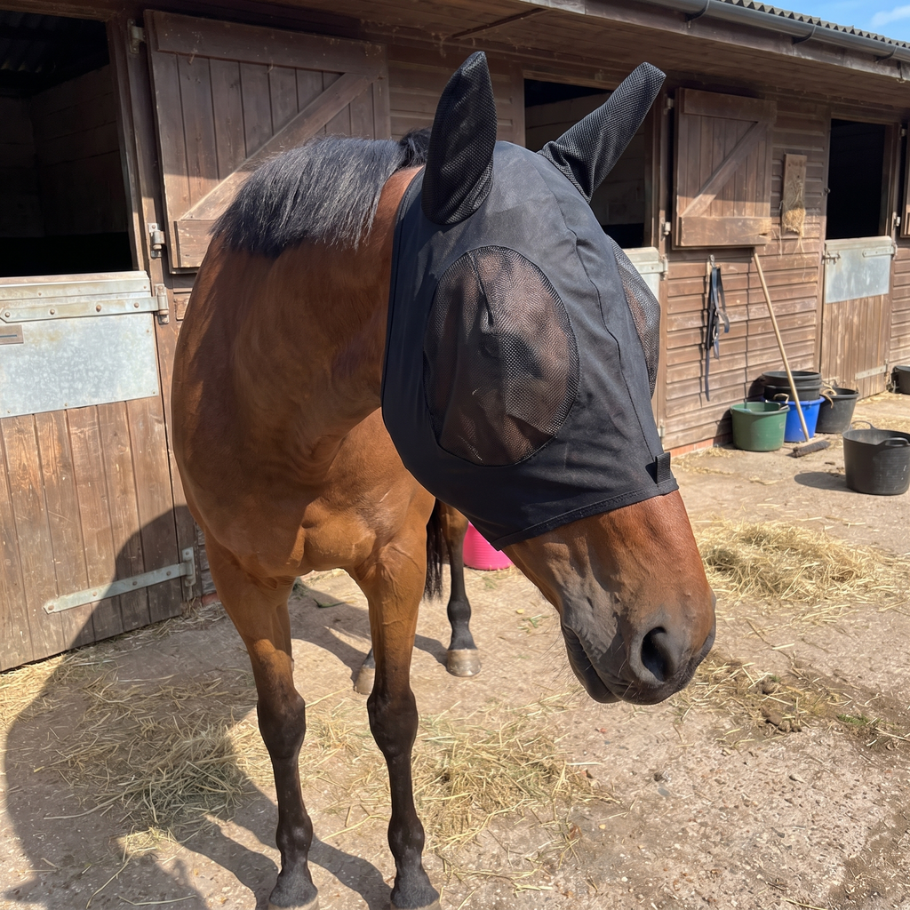 Bay horse in the black fly mask in a stable yard - wrenwood ugc lifestyle v2