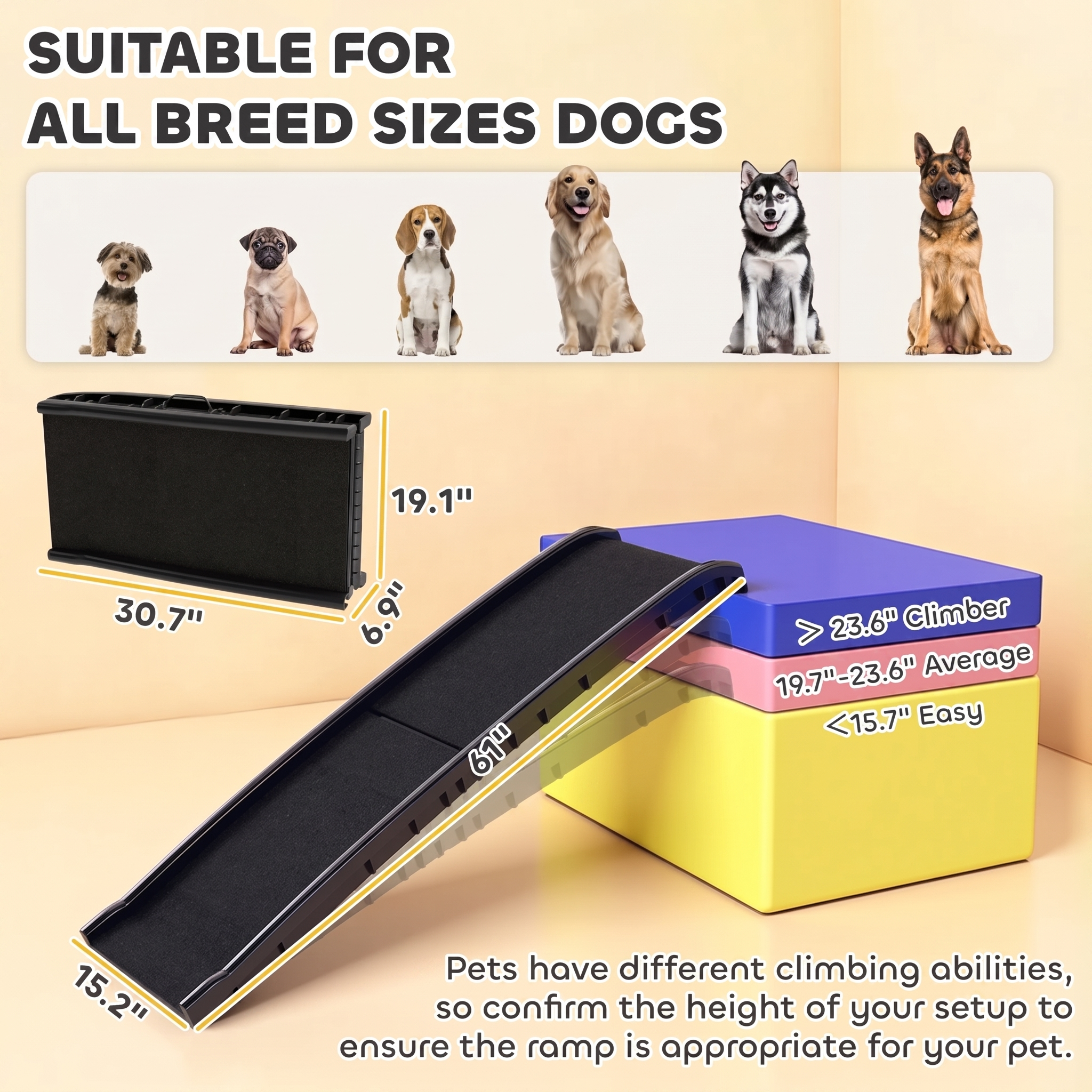 Ramp shown with dimension and height tier graphics below a row of six dogs.