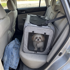 Grey pet carrier buckled on a car back seat with a shih tzu inside - wrenwood ugc lifestyle v3