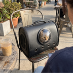 Tabby cat peeking through the bubble window of the black leather carrier tote on a cafe patio - wrenwood ugc lifestyle v2