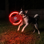 Red LED frisbee glowing at night in a dark backyard as a dog leaps for it - wrenwood hero v2
