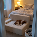 Cavalier spaniel asleep on the calming sofa pet bed in a bedroom corner - wrenwood ugc lifestyle v2
