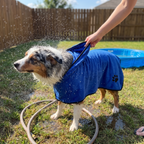 Australian shepherd in the blue microfiber drying towel at a backyard hose-down - wrenwood ugc lifestyle v2