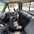 Cattle dog sitting on the car travel bed across a pickup truck bench seat - wrenwood ugc lifestyle v2