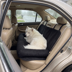 Samoyed relaxing on the car travel bed on a sedan back seat on a rainy day - wrenwood ugc lifestyle v2