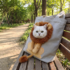 White cat in a lion mane sits in the canvas carrier bag on a park bench.