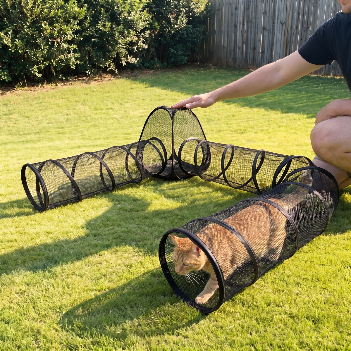Ginger cat emerging from the enclosure tunnel on a lawn, owner hand on the low tent showing scale - wrenwood ugc lifestyle v3