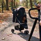 Brown dachshund riding in the black pet stroller on a tree-lined park path - wrenwood ugc lifestyle v2