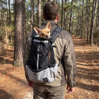 Owner hiking a forest trail carrying a chihuahua in the black pet travel backpack - wrenwood ugc lifestyle v2