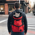 Owner crossing a city street with a tabby cat in the red pet travel backpack - wrenwood ugc lifestyle v2