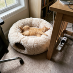 Orange tabby cat lounging in the plush tunnel bed beside a home office desk - wrenwood ugc lifestyle v2