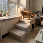 Orange cat on the beige plush pet stairs by the window perch - wrenwood ugc lifestyle v2