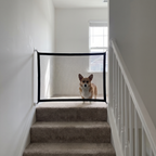 Corgi behind the black mesh pet safety gate at the top of carpeted stairs - wrenwood ugc lifestyle v2