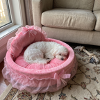 Maltese asleep in the pink princess pet bed beside a living room sofa - wrenwood ugc lifestyle v2