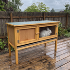 White rabbit inside the raised hutch on a wet deck after rain - wrenwood ugc lifestyle v2