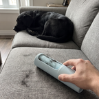 Blue reusable pet hair remover rolling black Lab fur off a grey sofa cushion - wrenwood ugc lifestyle v2