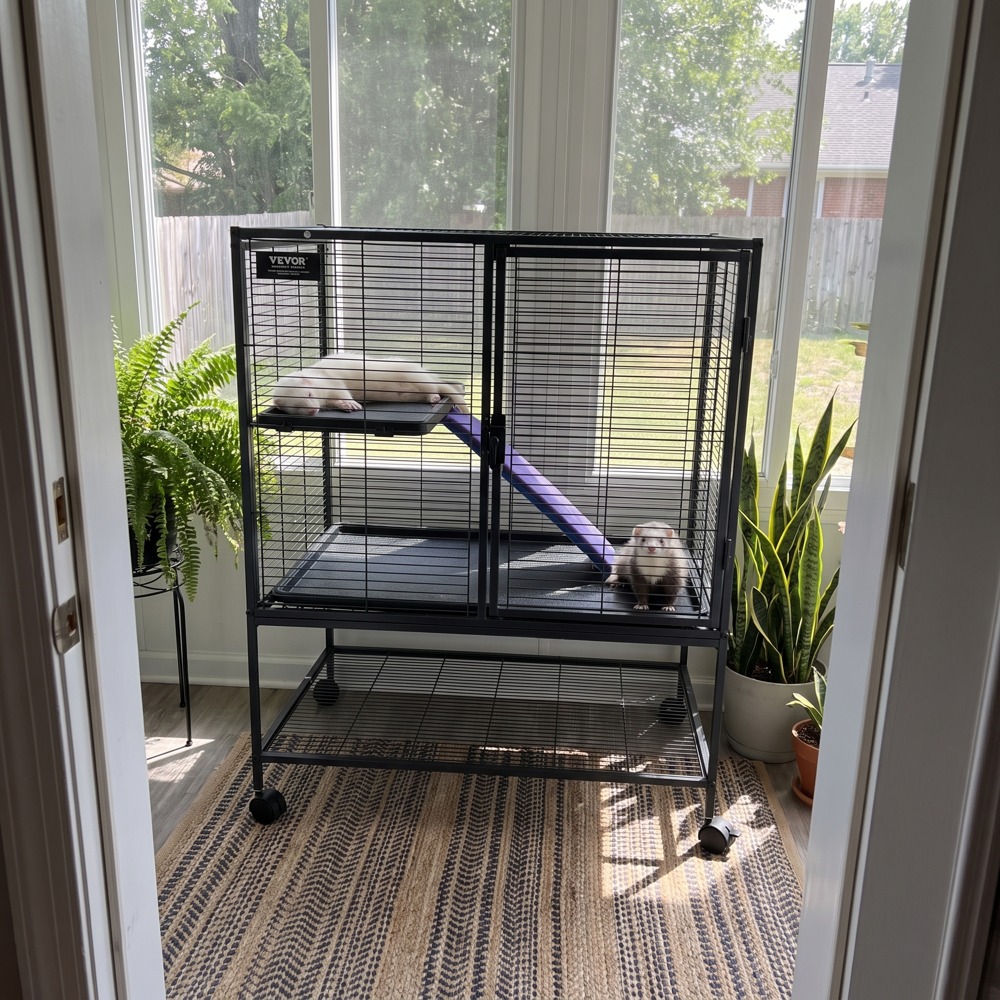 Two ferrets in the black 2-tier rolling cage in a bright sunroom - wrenwood ugc lifestyle v2