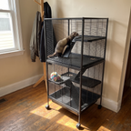 Ferret climbing a ramp inside the 4-tier rolling cage in a sunlit hallway - wrenwood ugc lifestyle v2