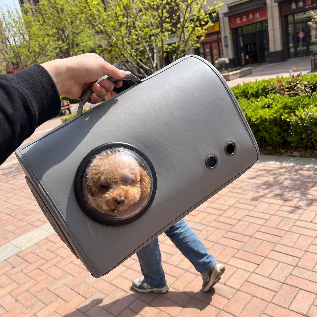Grey pet handbag carrier carried by its handle mid-stride across a brick plaza with a toy poodle in the bubble window - wrenwood ugc lifestyle v3