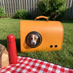 Orange pet handbag carrier on a backyard picnic lawn with a jack russell in the bubble window - wrenwood ugc lifestyle v3