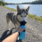 Husky drinking from the blue portable pet water bottle on a lakeshore path - wrenwood ugc lifestyle v3