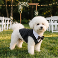 Bichon frise wearing the black formal dog tuxedo suit at an outdoor wedding - wrenwood hero v2