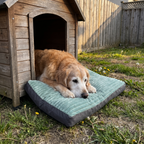 Senior golden retriever resting on the green washable bed mat at the entrance of a wooden dog house - wrenwood ugc lifestyle v2