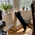 Black cat mid-scratch on the vertical sisal cat scratcher by a bright window - wrenwood ugc lifestyle v3