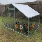 Walk-in chicken coop on an overcast day seen from across the lawn - wrenwood ugc lifestyle v2