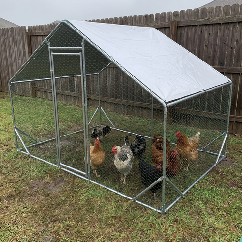 Walk-in chicken coop on an overcast day seen from across the lawn - wrenwood ugc lifestyle v2