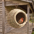 Woven straw bird nest hut hanging under a sheltered porch eave with a house finch at the opening - wrenwood hero v2