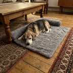 Senior beagle dozing on the grey plush thermal pet mat on a living room rug - wrenwood ugc lifestyle v3