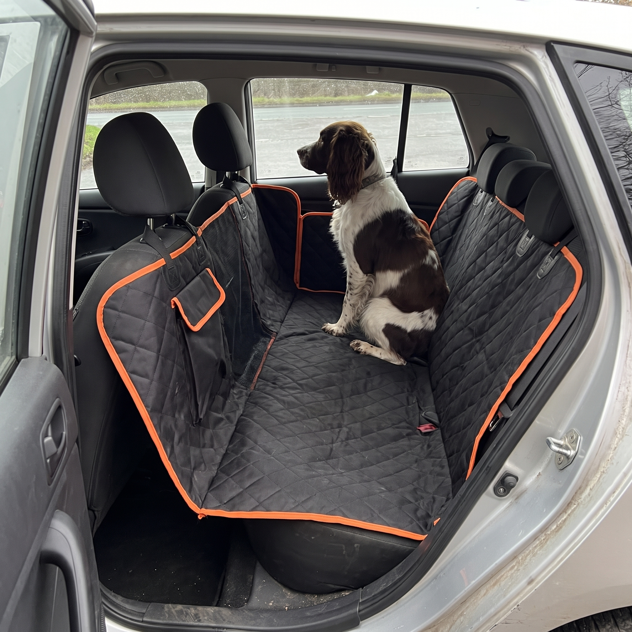 Springer spaniel sitting on the waterproof car seat cover in a hatchback back seat - wrenwood ugc lifestyle v3