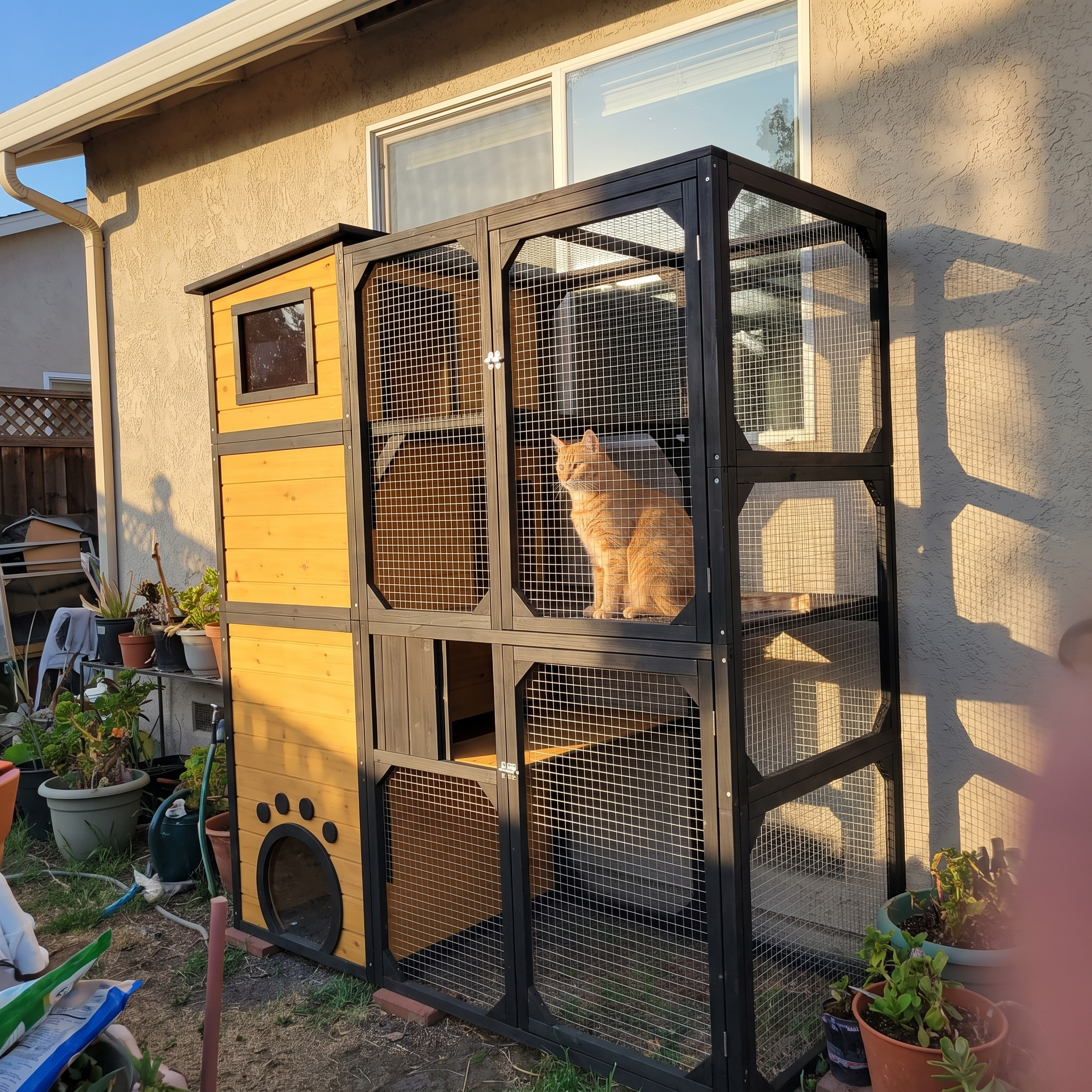 Ginger cat in the yellow window catio at golden hour - wrenwood ugc lifestyle v3