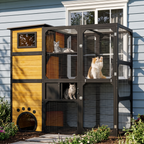 Two cats looking out of the yellow window catio on blue siding - wrenwood ugc lifestyle v3