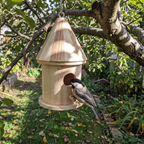 Chickadee at the entrance of the wooden bird house in an apple tree - wrenwood ugc lifestyle v3
