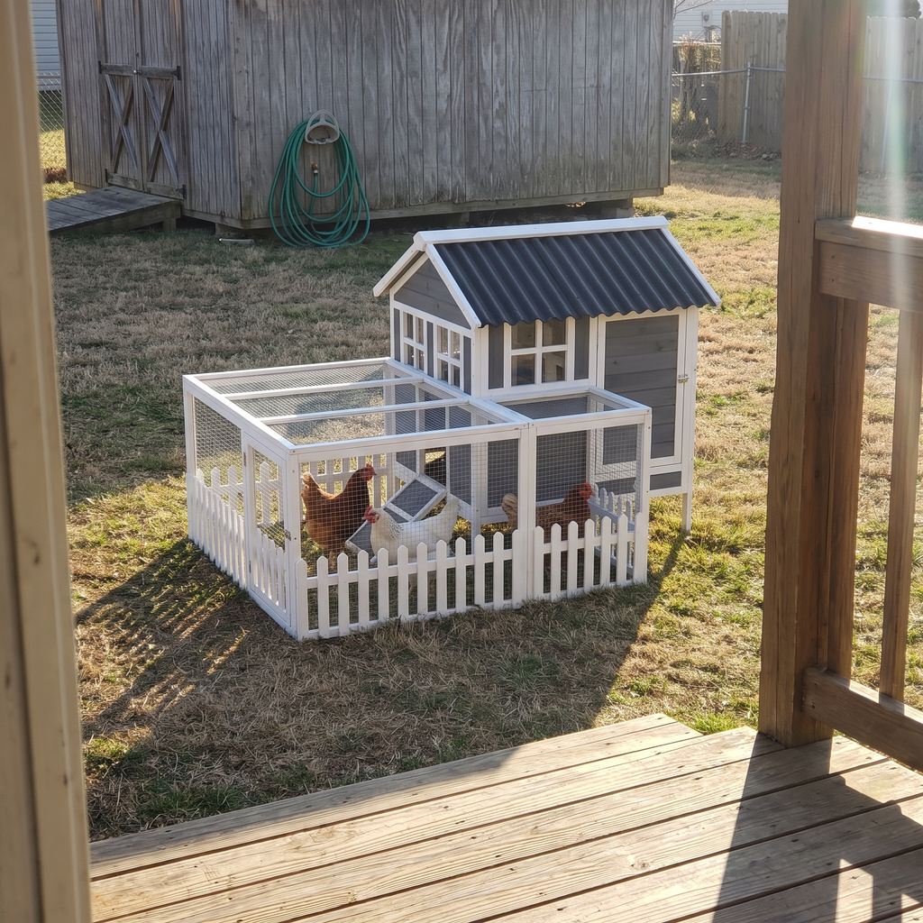 Grey compact chicken coop with hens seen from the porch at golden hour - wrenwood ugc lifestyle v2