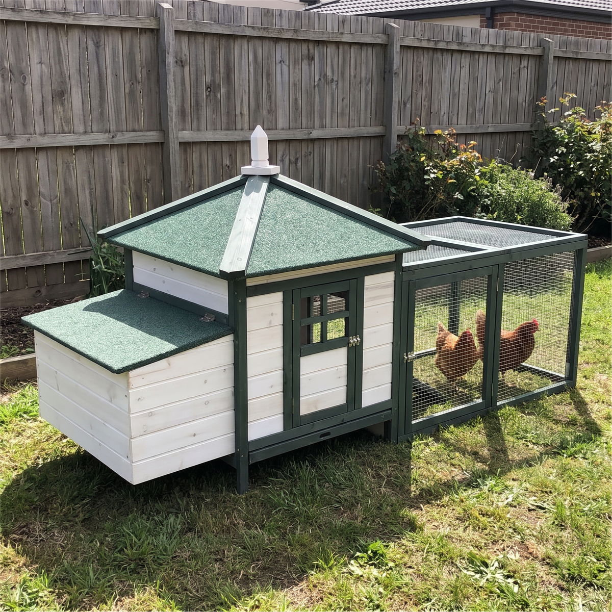 Hens in the run of the cottage chicken coop on a backyard lawn - wrenwood ugc lifestyle v3